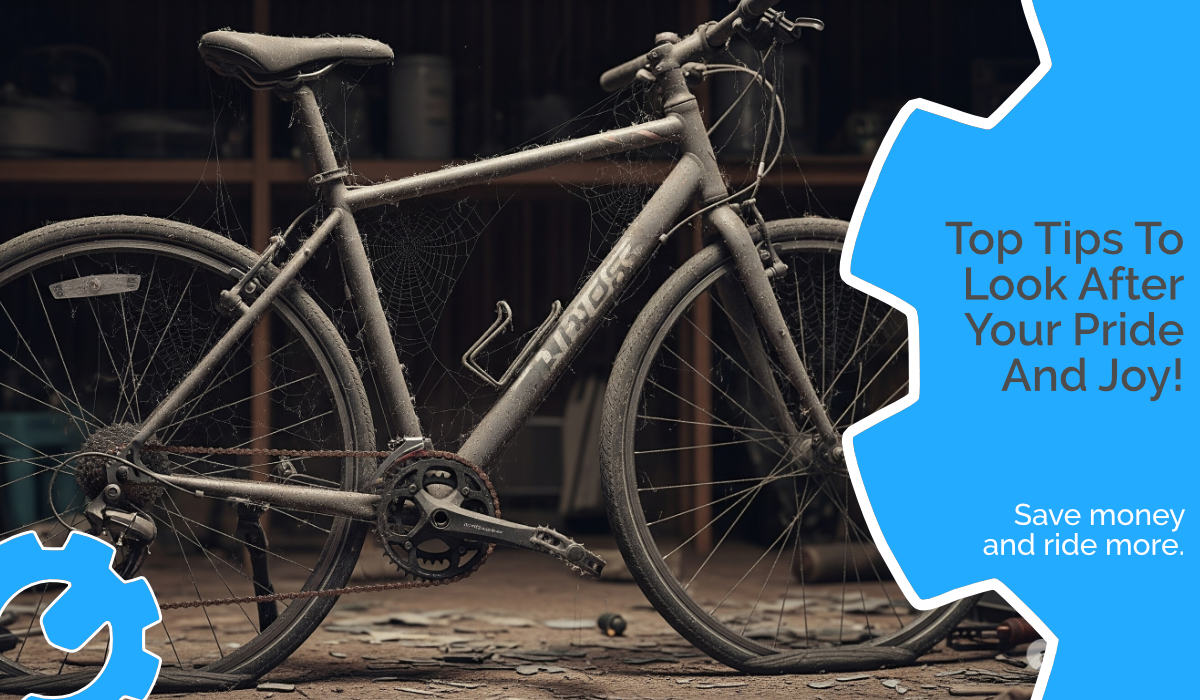 Save money with our simple bike maintenance tips.